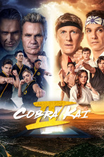 Imagen de Cobra Kai (T4) - 1