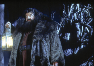 Imagen de Harry Potter y la piedra filosofal - 11