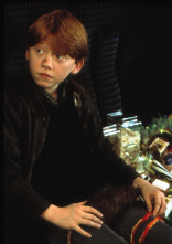 Imagen de Harry Potter y la piedra filosofal - 15