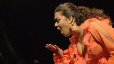 Imagen de Lo Flamenco - 5
