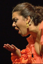 Imagen de Lo Flamenco - 4