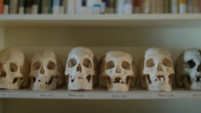 Imagen de American greed - 5