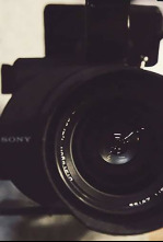 Imagen de TBD - 4