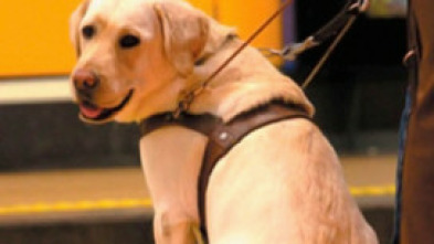 Imagen de Instinto animal - 5