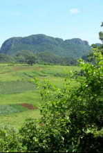 Imagen de Naturalmente - 4