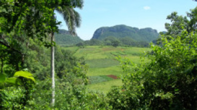Imagen de Naturalmente - 5