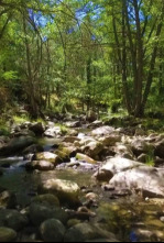 Imagen de Parques naturales - 4