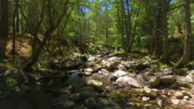 Imagen de Parques naturales - 5