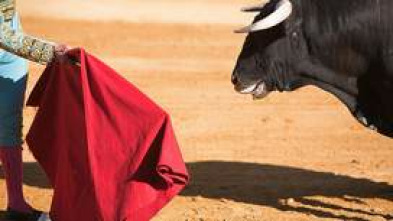 Imagen de Toros y pueblos - 5