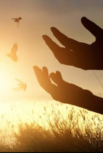 Imagen de Misioneros por el mundo - 4
