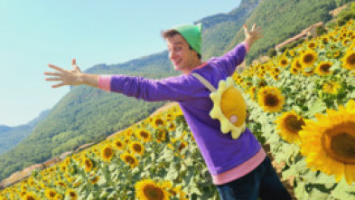 Imagen de Titó (T1): Excursió al camp de girasols - 5