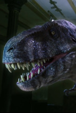 Imagen de Redescubriendo el T-Rex - 4