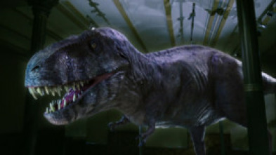 Imagen de Redescubriendo el T-Rex - 5