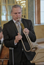 Imagen de Bach - Conciertos de Brandeburgo, BWV 1046-1051 - 4