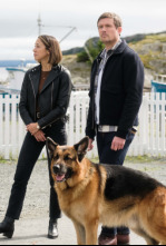 Imagen de Hudson y Rex (T5) - 6