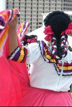 Imagen de Noche de taifas - 4