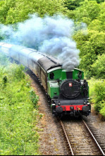 Imagen de Cómo los trenes...: Trenes con nombre propio - 4