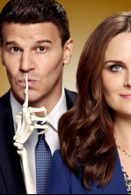 Imagen de Bones (T9): Ep.15 La heredera en la colina - 4