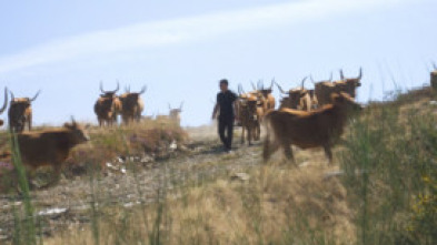 Imagen de Cos pés na terra - 5