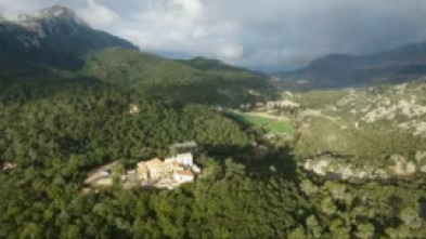 Imagen de Tira tira - 5