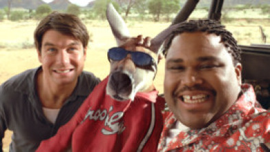 Imagen de Canguro Jack, trinca y brinca - 11