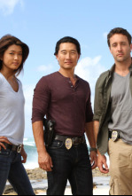 Imagen de Hawai 5.0 (T1): Ep.4 Lanakila (Victoria) - 4