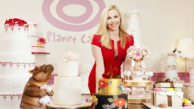 Imagen de Planet Cake (T1) - 5