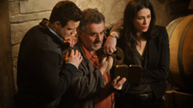 Imagen de Warehouse 13 (T4): Ep.19 Todo el tiempo del mundo - 5