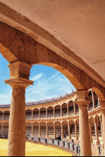 Imagen de Toros - 4