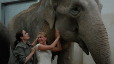 Imagen de Doctora en el Zoo - 5
