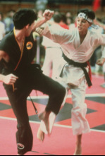 Imagen de Karate Kid, el momento de la verdad - 9