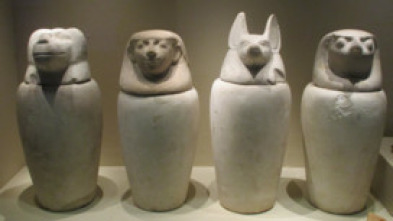 Imagen de Misterios en el museo: El perro de Hollywood y más - 7
