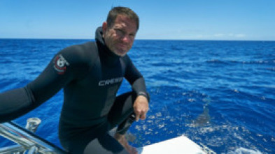 Imagen de Shark with Steve...: Tiburones del Océano Índico - 7