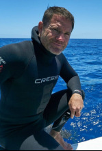 Imagen de Shark with Steve...: Sharks of the North Atlantic - 6