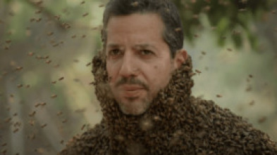 Imagen de David Blaine: Retos Extremos: Japón - 6