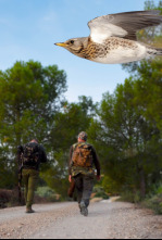 Imagen de En busca de los primeros zorzales - 4