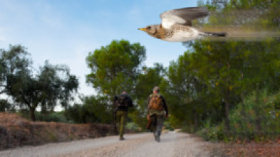 Imagen de En busca de los primeros zorzales - 5