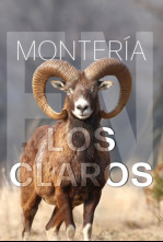 Imagen de Montería en los claros - 4
