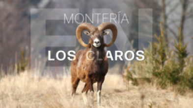 Imagen de Montería en los claros - 5