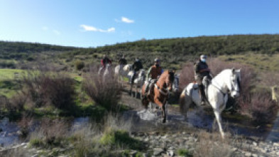 Imagen de Extremadura a caballo - 5