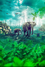 Imagen de Gabon: Wildlife Warriors - 6