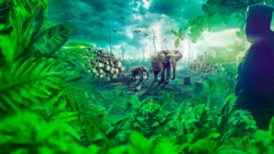 Imagen de Gabon: Wildlife Warriors - 7