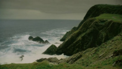Imagen de Shetland - 5