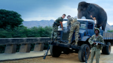 Imagen de Operación elefante - 6