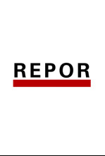 Imagen de Repor (T2025): El retorno del reo - 4