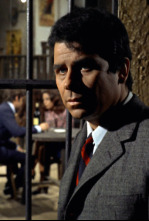 Imagen de Españolear - 4