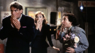 Imagen de ¡Qué ruina de función! - 5