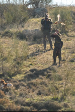 Imagen de Lances - 4