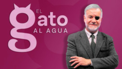 Imagen de El gato al agua - 5