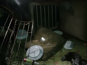 Imagen de Shetland - 1